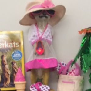 Meet your Posher, Carla